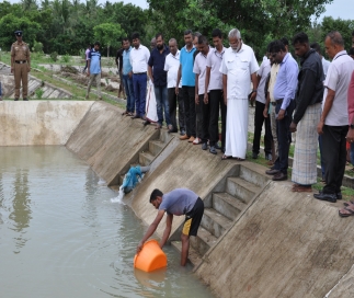 Two hundred thousand fish fry are released in the fresh water ponds of Puthumurippu 