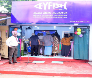 ලංකා ධීවර සංස්ථාවේ 91 වන CeyFish අලෙවිසැල වාද්දුවේදී විවෘත කෙරේ: රට පුරා නැවුම් මසුන් බෙදා හැරීමට නව පියවරක්