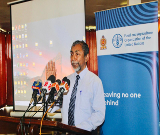 New Life For Ampara aquaculture with the support of FAO : ‘Wewa Ape Kamhalai - the tank is our factory'’ concept is further strengthened
