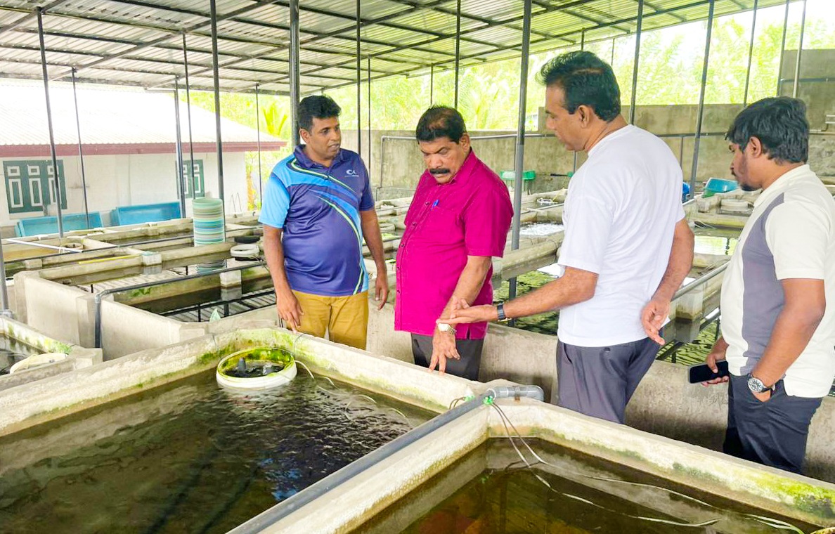 PHOTO 2025 11 03 11 30 58