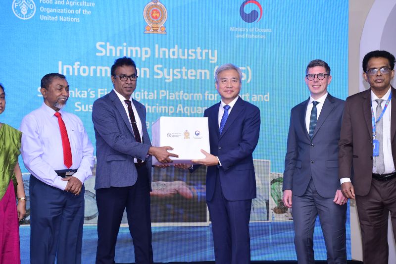 WhatsApp Image 2025 11 14 at 15.41.53 1