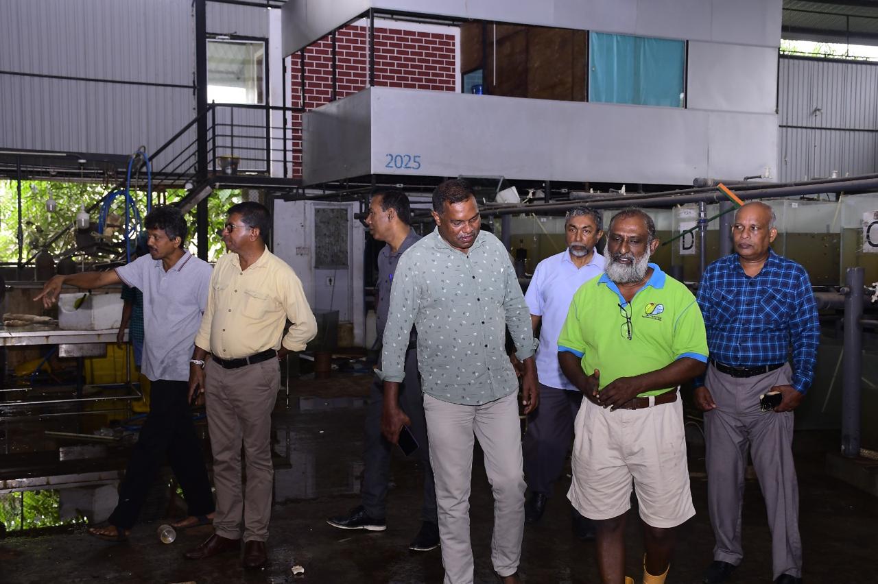 WhatsApp Image 2025 12 05 at 17.48.39