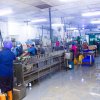 Observing the "Happy Cook" canned fish factory in Galle