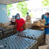 Observing the "Happy Cook" canned fish factory in Galle