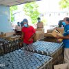 Observing the "Happy Cook" canned fish factory in Galle