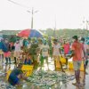 Current Minister - Observation visit at Kudawella Fishery Harbour 15-11-2020