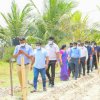 Current Minister - Observing of sea cucumber farming projects and mangrove replanting project in Jaffna district