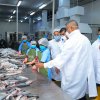 Observing of the "Tess" canned fish factory 