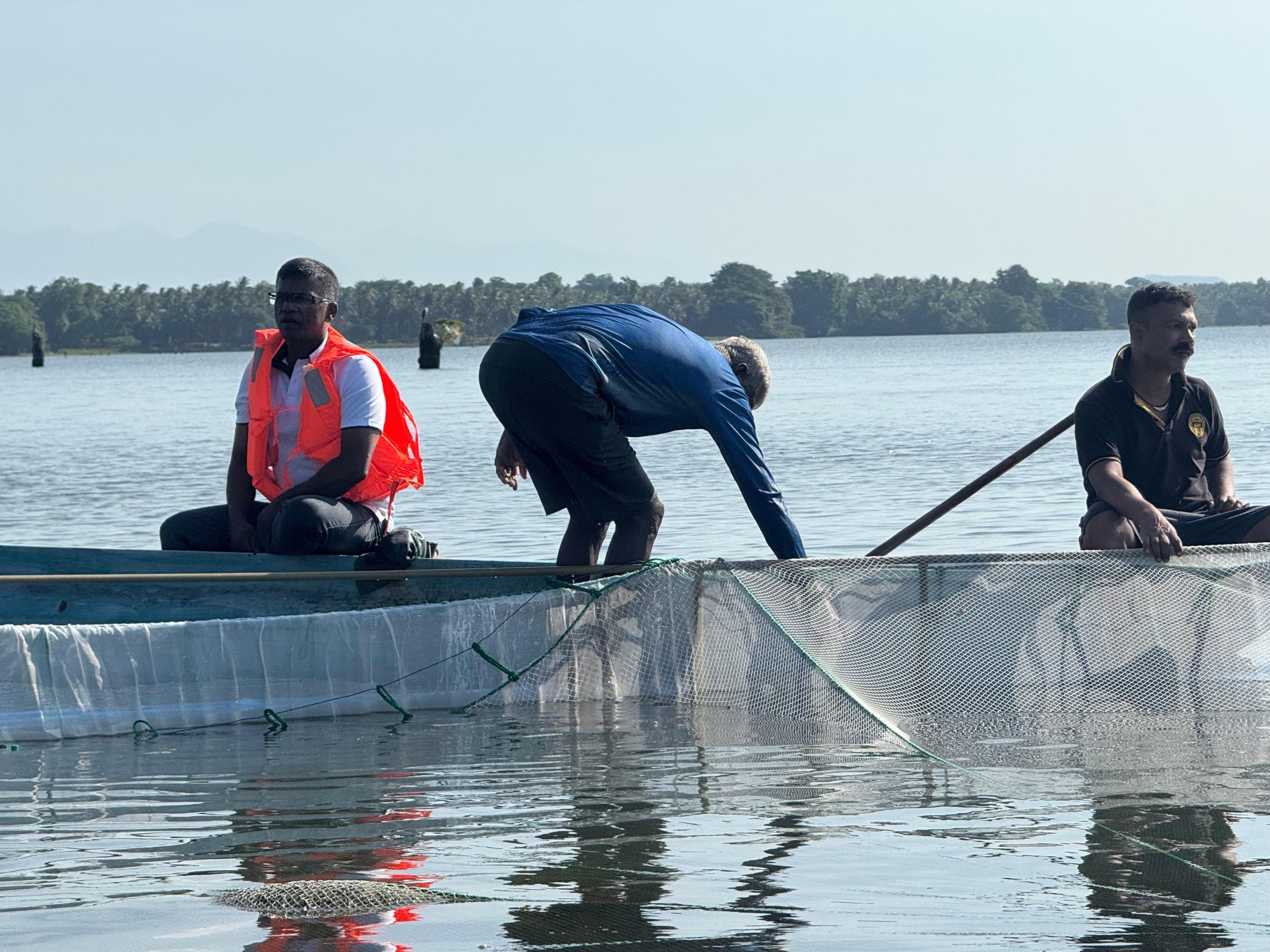 Freshwater shrimp cage-based nursery work at a reservoir