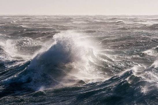 images (1)